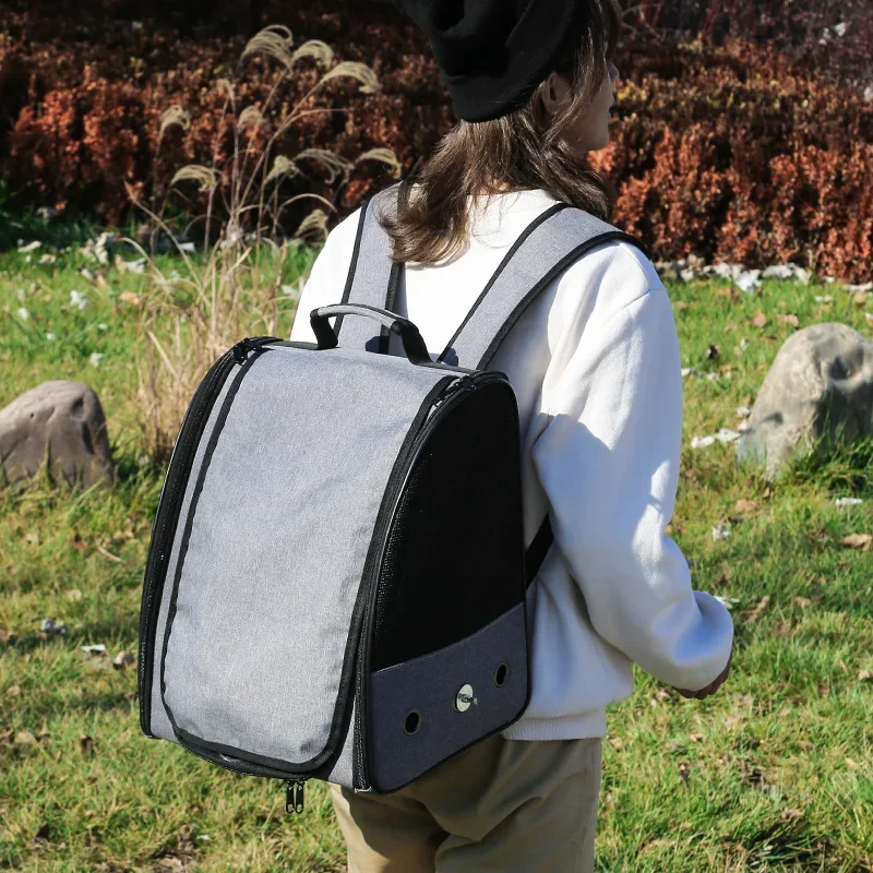 Outdoors Parrot Backpack Porta - Luxury Bags Price reseña y precio