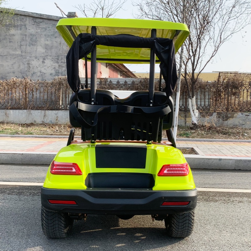 Factory Price 2 Seat Luxury El - Luxury Bags Price reseña y precio