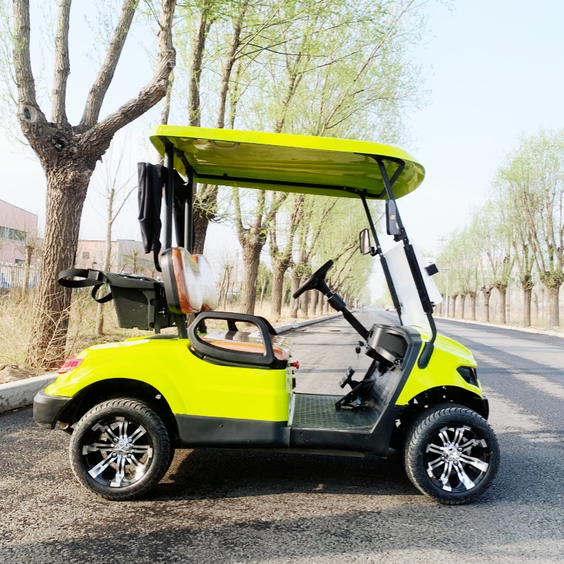 Factory Price 2 Seat Luxury El - Luxury Bags Price reseña y precio